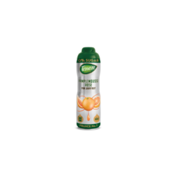 Teisseire Jarabe de flor de saúco 0% azúcar, 600 ml